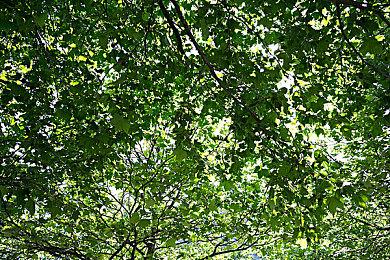 《先锋公主》游戏原作者失踪 发行商宣布获得版权引争议