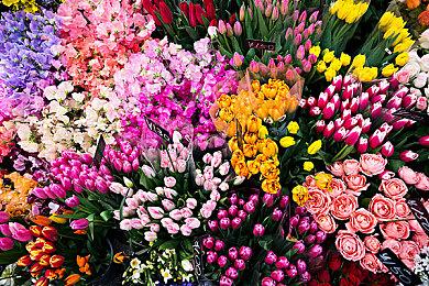 《EA Sports WRC》游戏深度介绍预告片分享